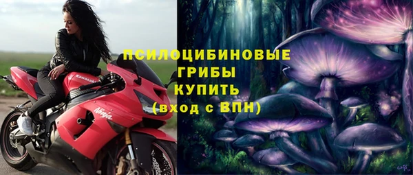 винт Алексин