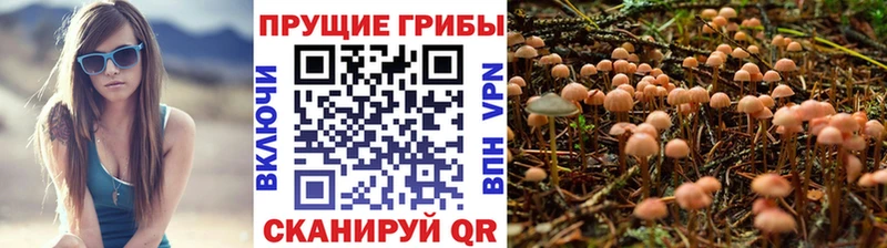Галлюциногенные грибы мухоморы  цены   Беслан 