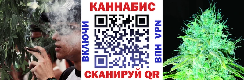 Бошки Шишки VHQ Беслан